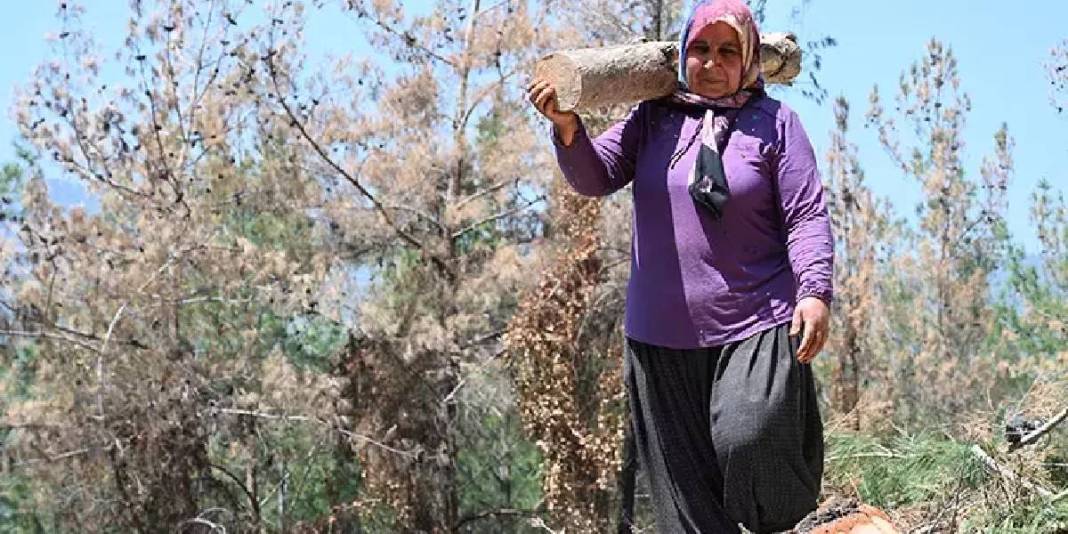 Makine yok, beton yok! Ormanın kalbinde alın teri: Karı-koca yıllardır ter döküyor, ekmeklerini birlikte çıkarıyorlar… 4